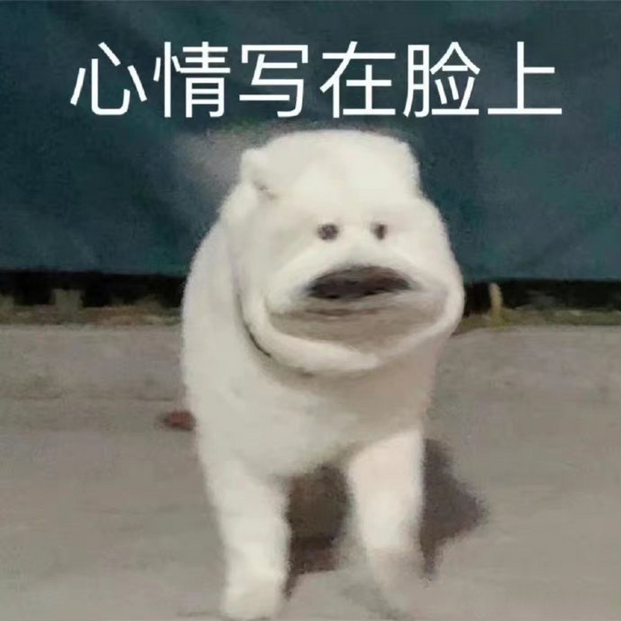 一人血书微信添加表情包可以多个添加,一个个添加到我要自闭了