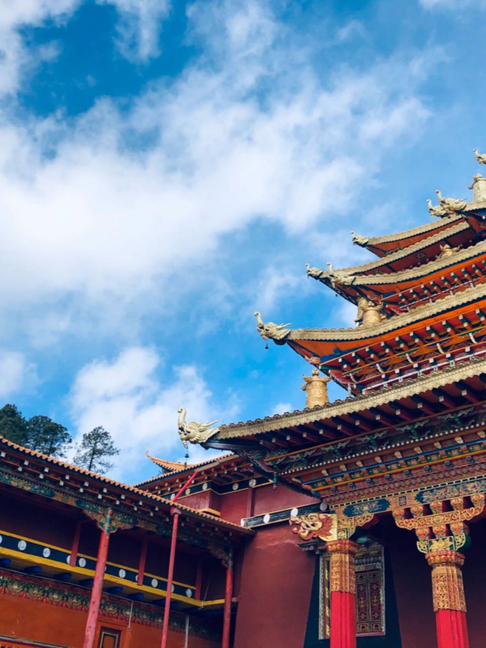 塔城|不仅有滇金丝猴,还是藏传佛教圣地75 塔城镇,位于云南省迪庆州