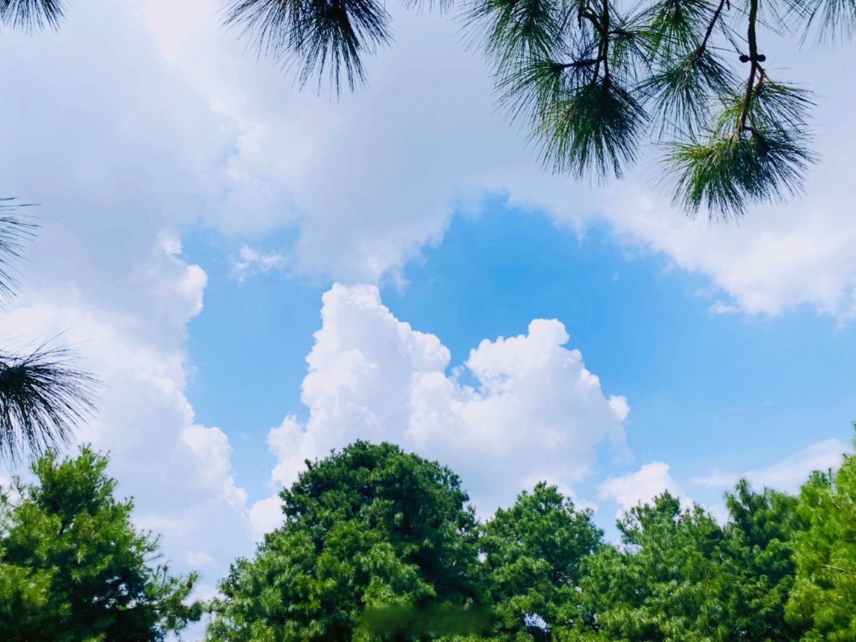 生活点滴#难得糊涂是一种境界,心平如镜是一种修养,顺其自然是一种