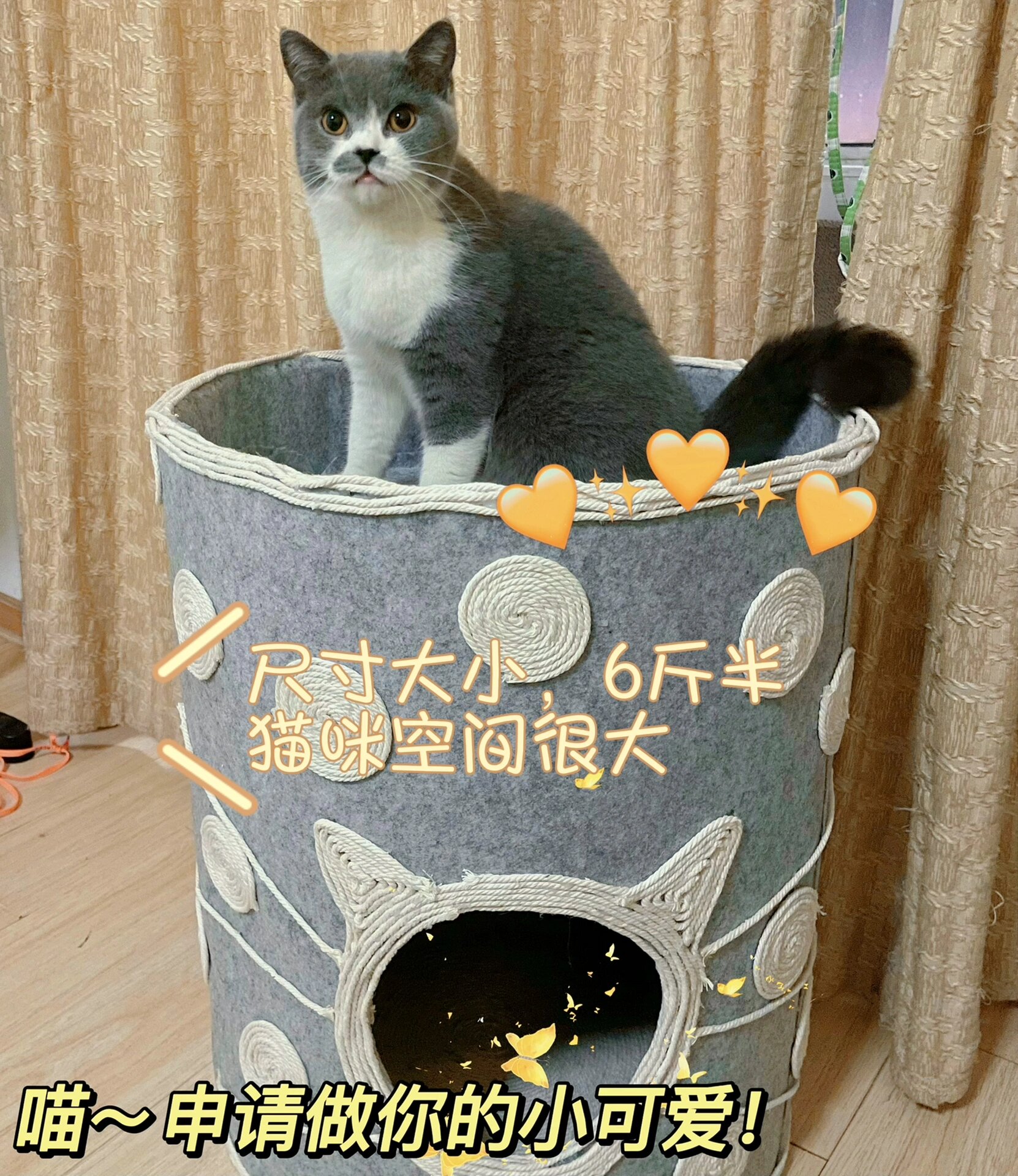 自制纸箱猫窝