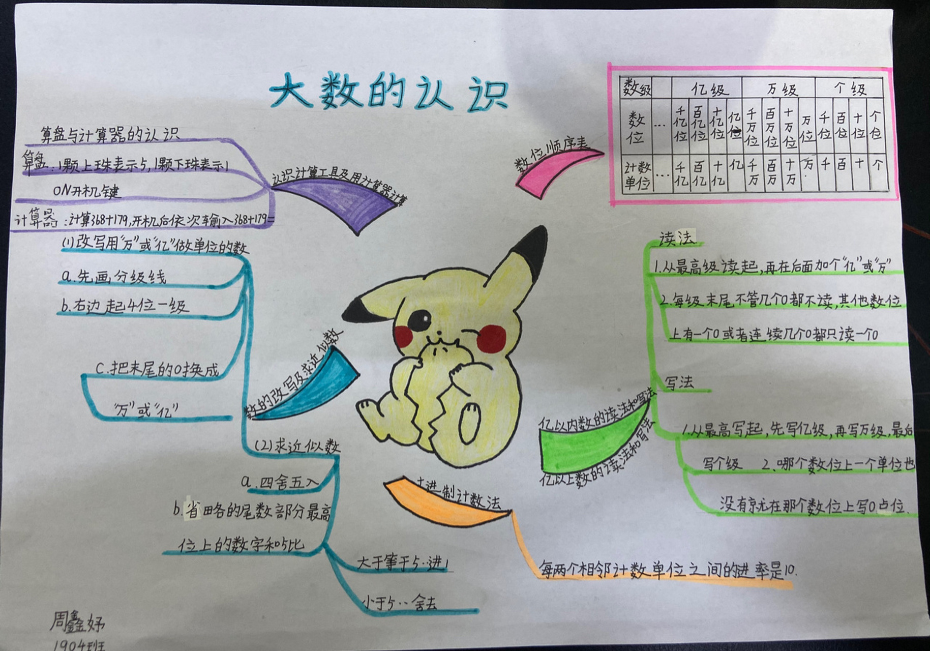 大树的认识思维导图图片