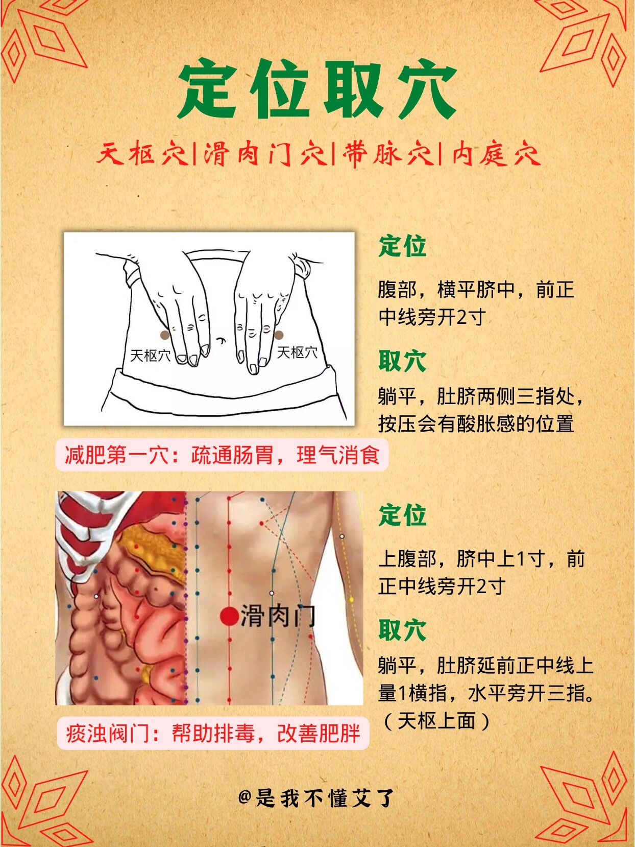 五行针减肥位置图图片