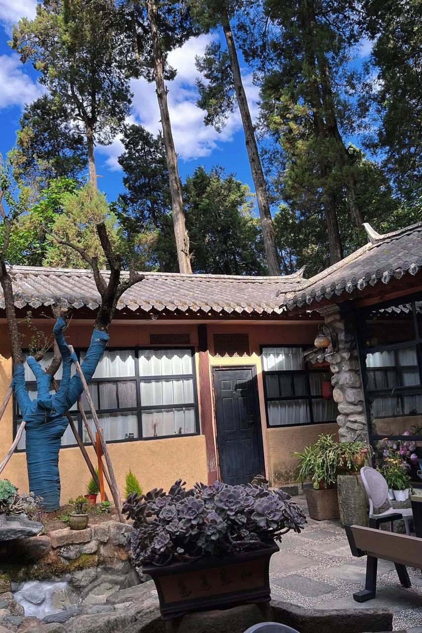 7515苍山寂照庵|大理轻徒步景点推荐 99寂照庵 7315定位