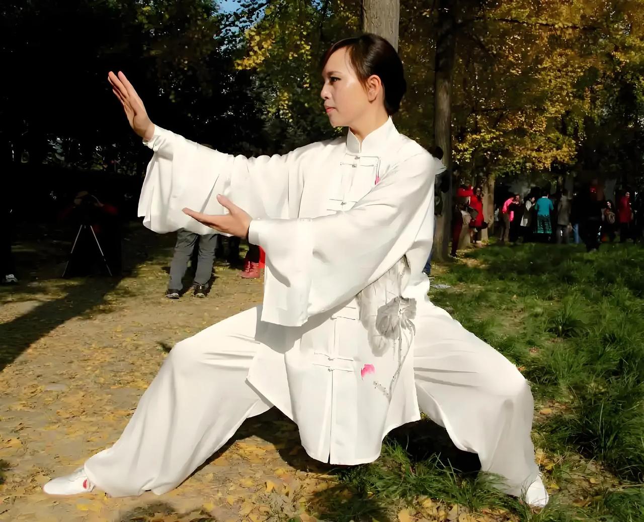 在太极拳的精妙世界里,掤劲犹如一条贯穿始终的