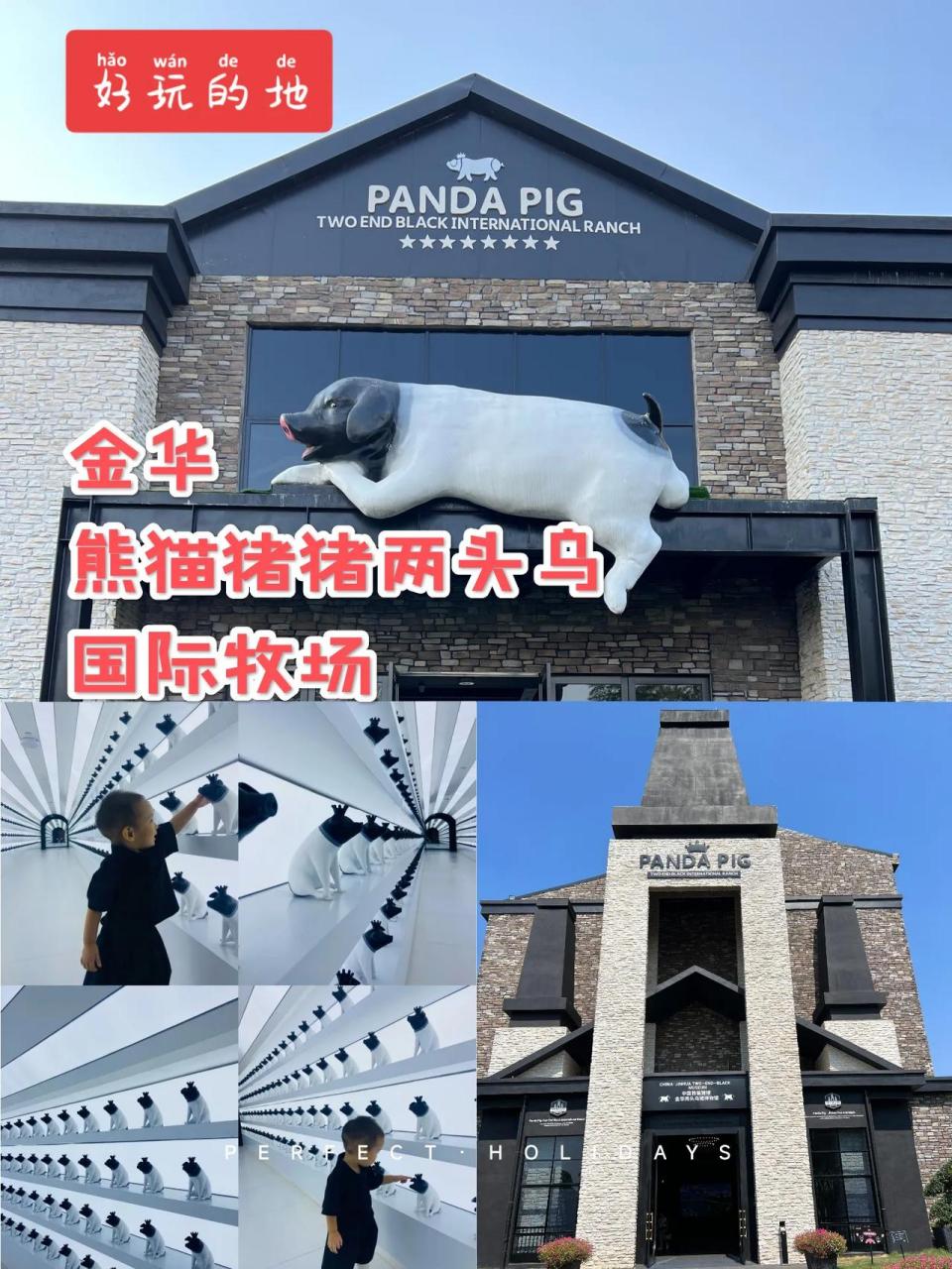 金华熊猫猪猪两头乌国际牧场 地址:金华婺城区长山乡古长路1177号(需