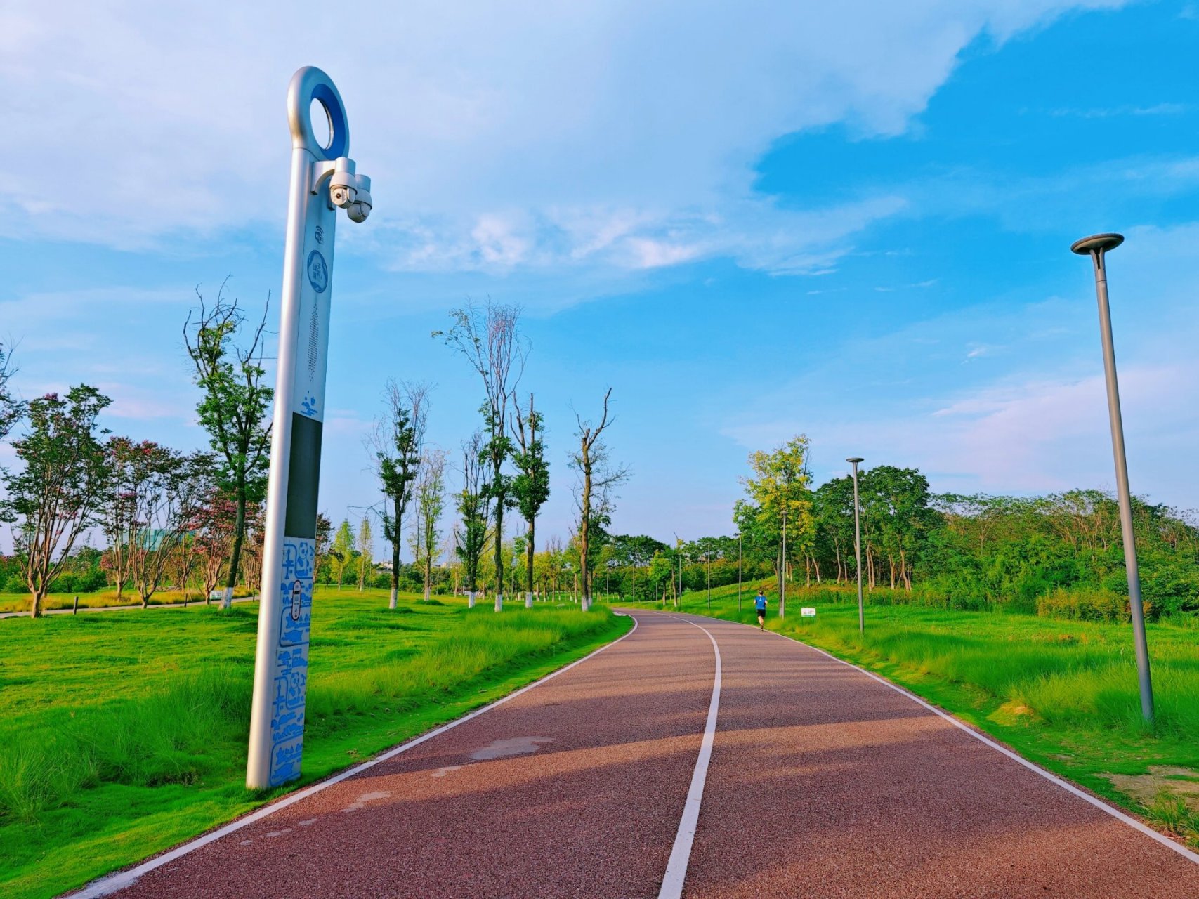 成都绿道骑完一圈的感受 骑完一圈锦城绿道,最大感受就是一路风景太美