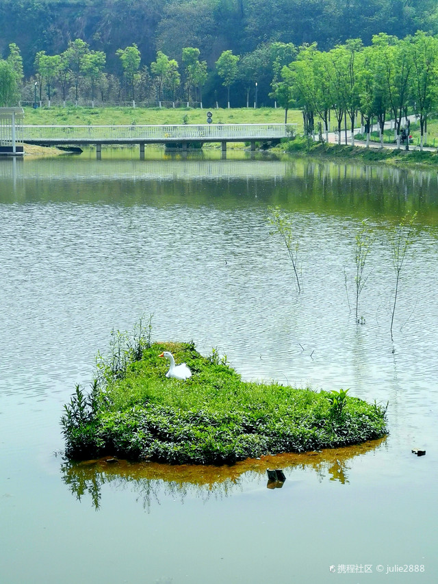 去沙滩玩吧,就在风景优美的樊川公园