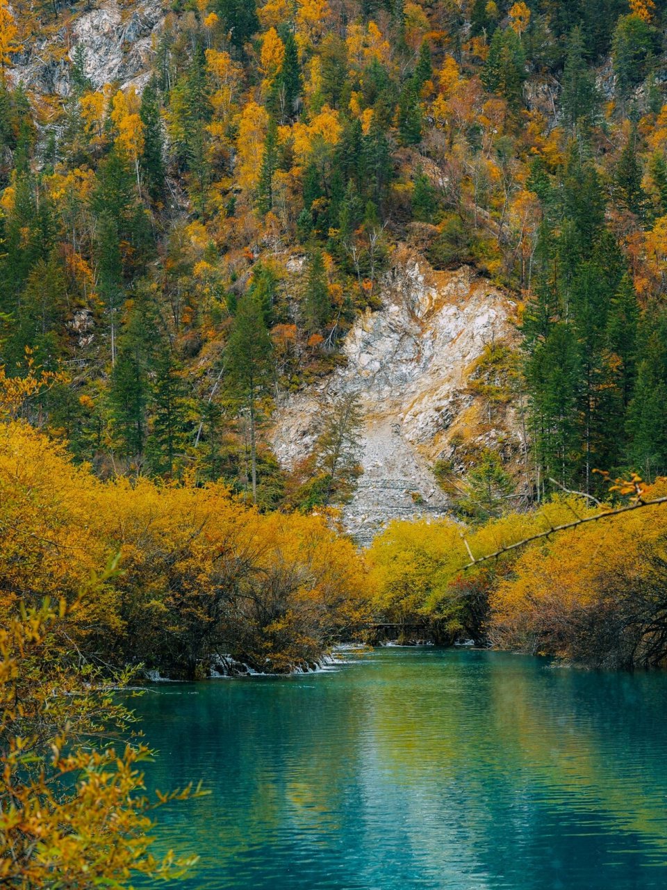 10-11月九寨沟绝美秋景78五日游攻略 73九寨沟10月景色变化 79