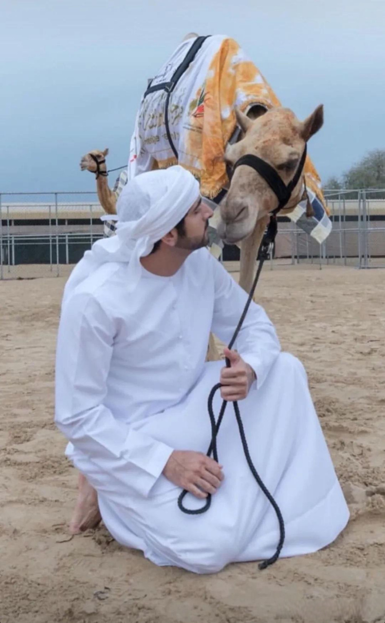 迪拜王储哈曼丹和他心爱的骆驼.