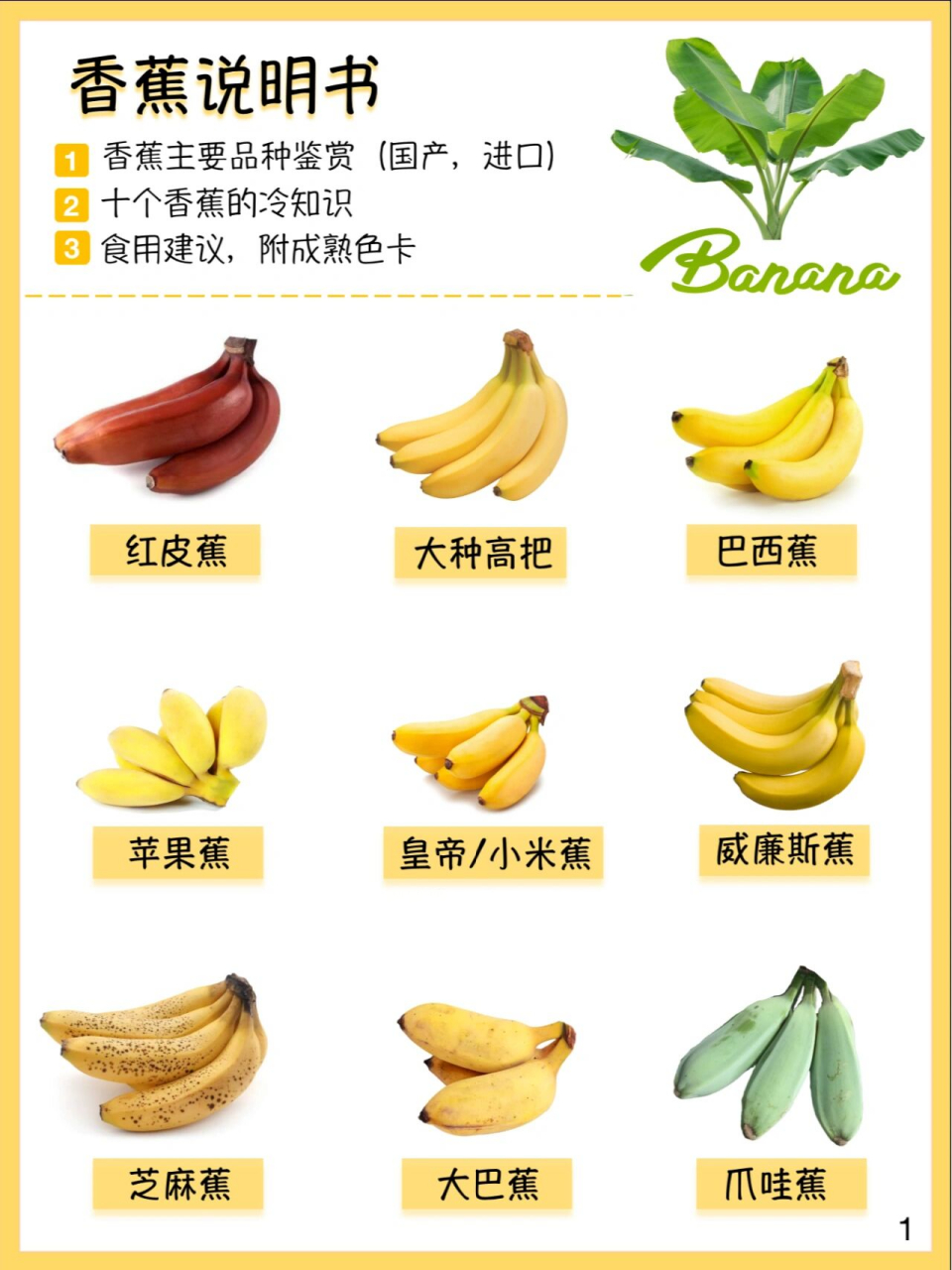 香蕉颜色变化顺序图片