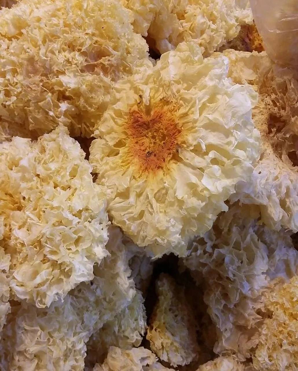 银耳的作用和功效做法    养生之银耳 滋阴润肺,益胃补血,补脑强心