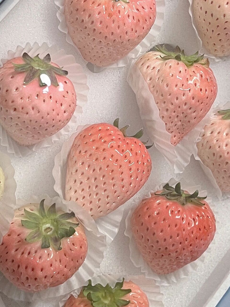 欣赏可爱草莓 粉草莓好香甜啊!舍不得吃