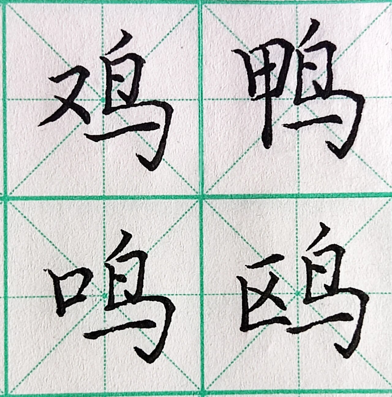 硬笔/书法/楷书/鸟字旁/偏旁部首 16615鸟字旁稳重平实,生动有神