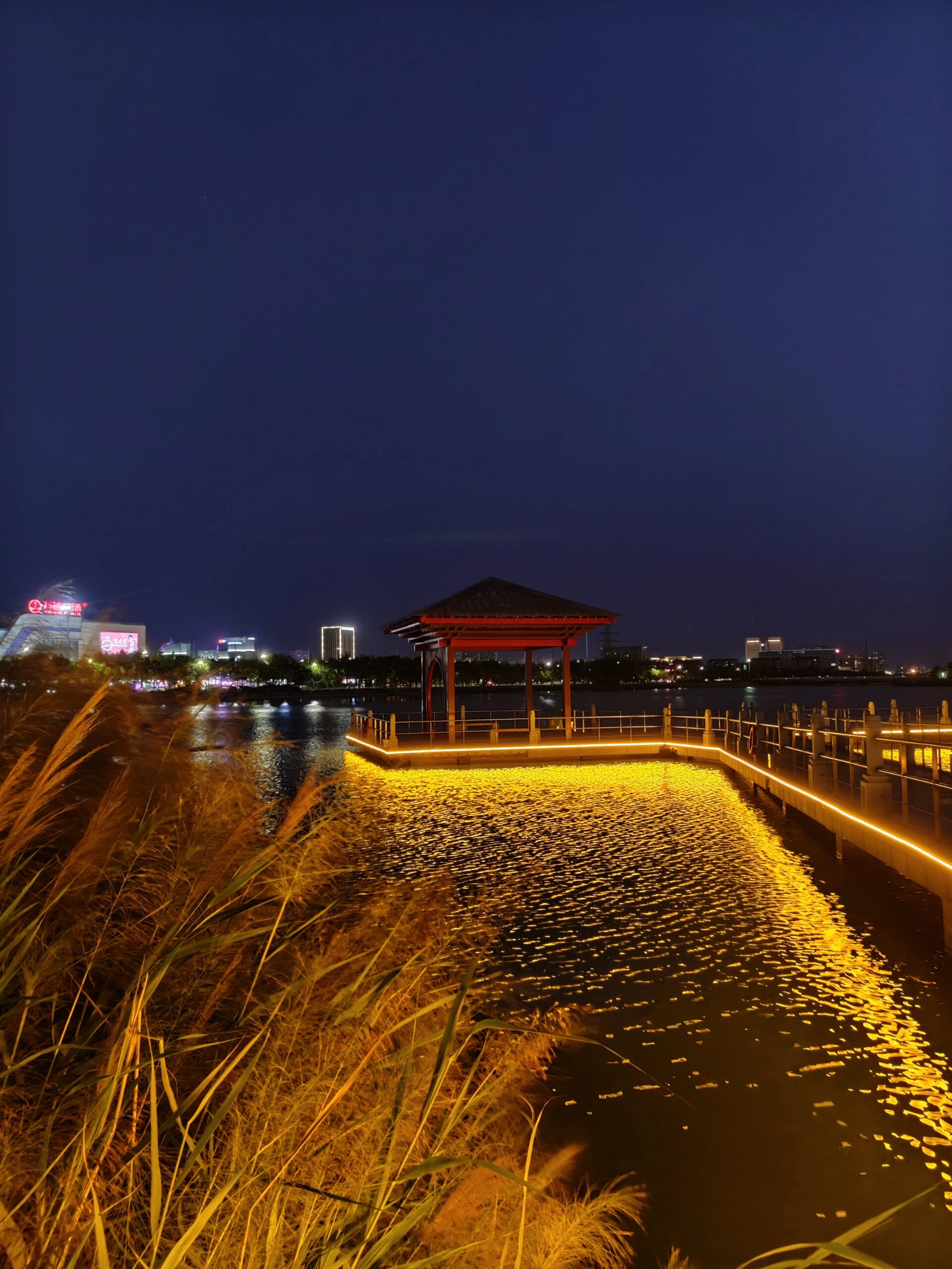 秋月湖公园夜景