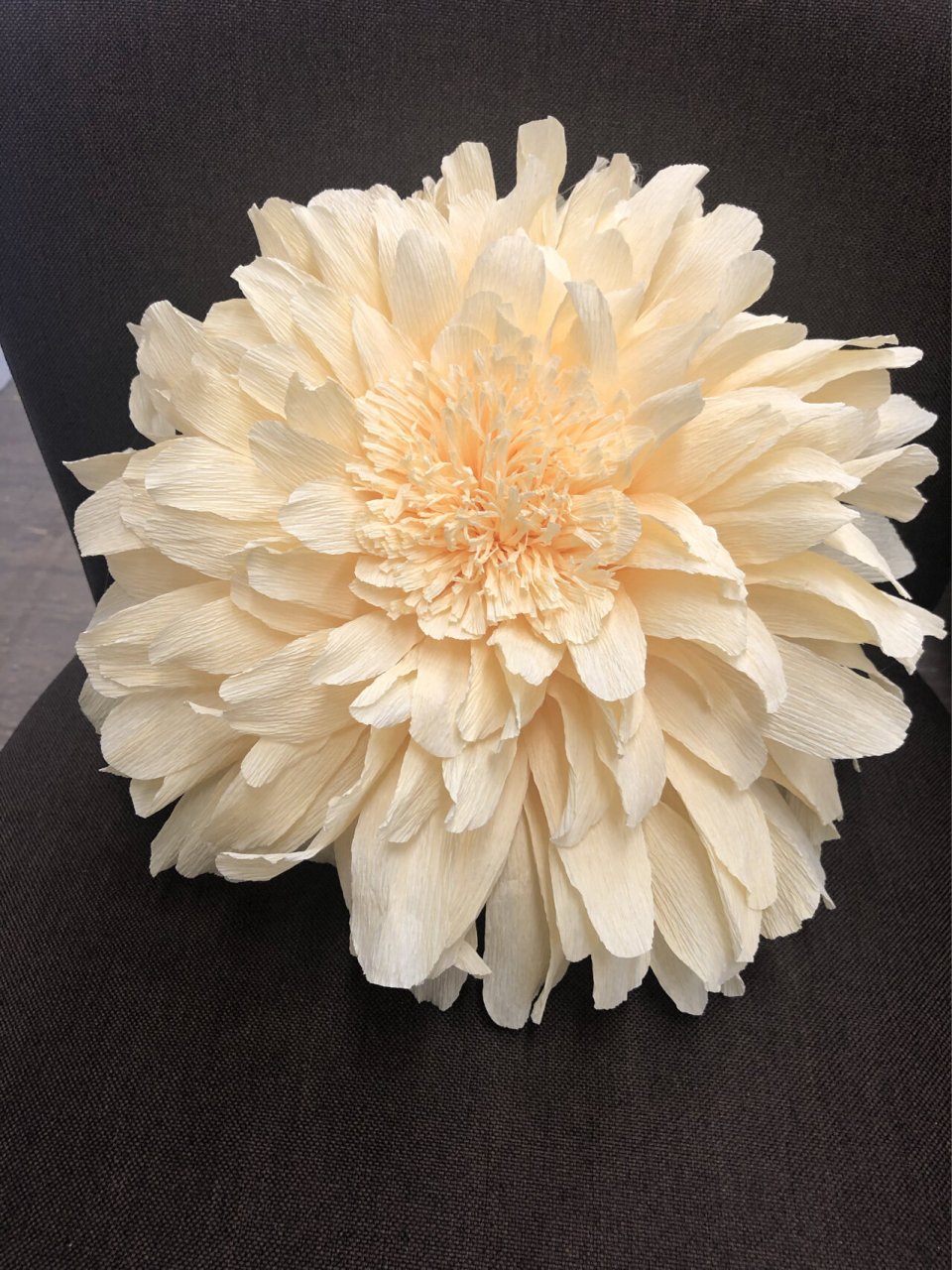 手工|纸艺|百日菊|皱纹纸 超简单的百日菊教程来啦…… 材料:皱纹纸