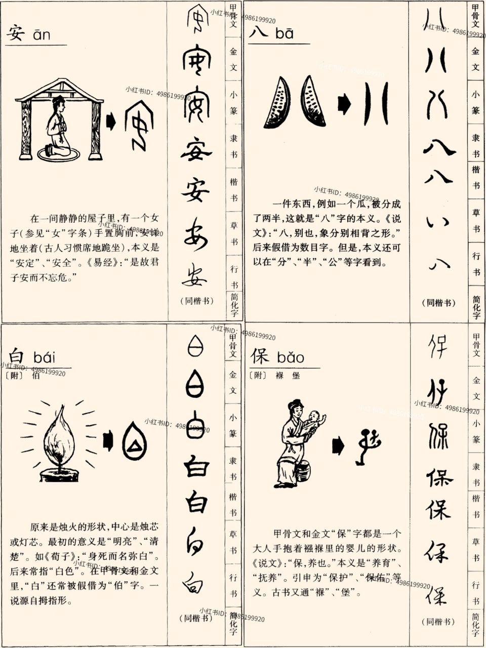 91神奇的汉字|中国汉字的演变史 00汉字是世界最悠久的文字之一