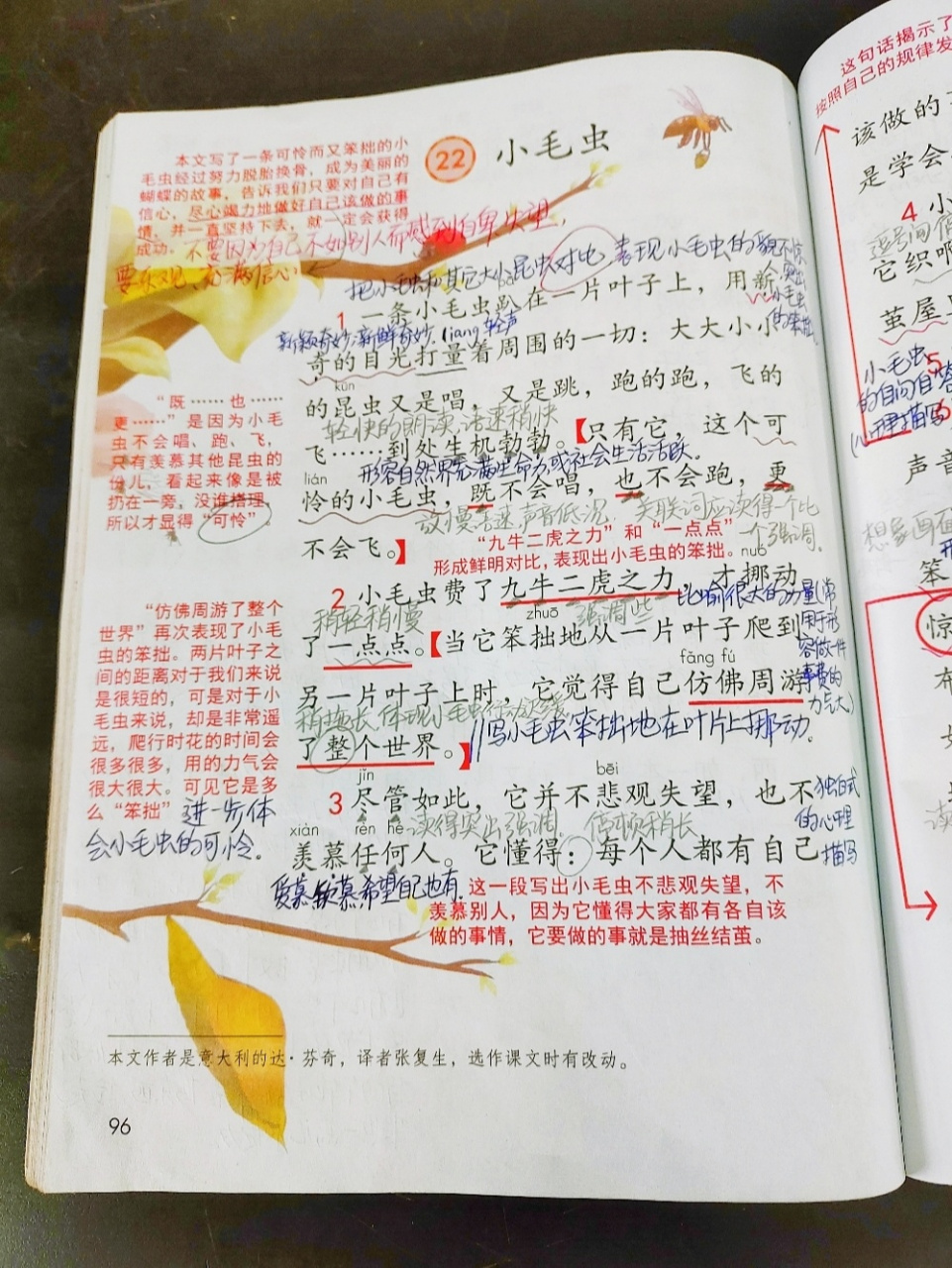 二年级下册语文 第22课《小毛虫》课堂笔记 持续更新中…… 关99