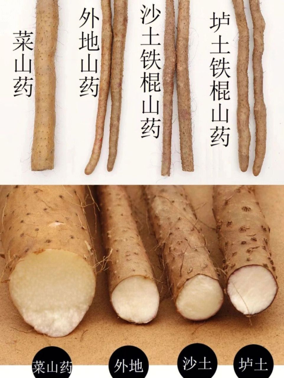 买山药看这里|教你辨别真正的垆土铁棍山药 很多宝宝在购买山药的时候