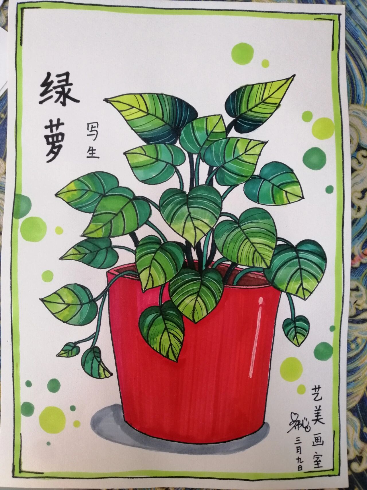 绿萝写生绘画|步骤图