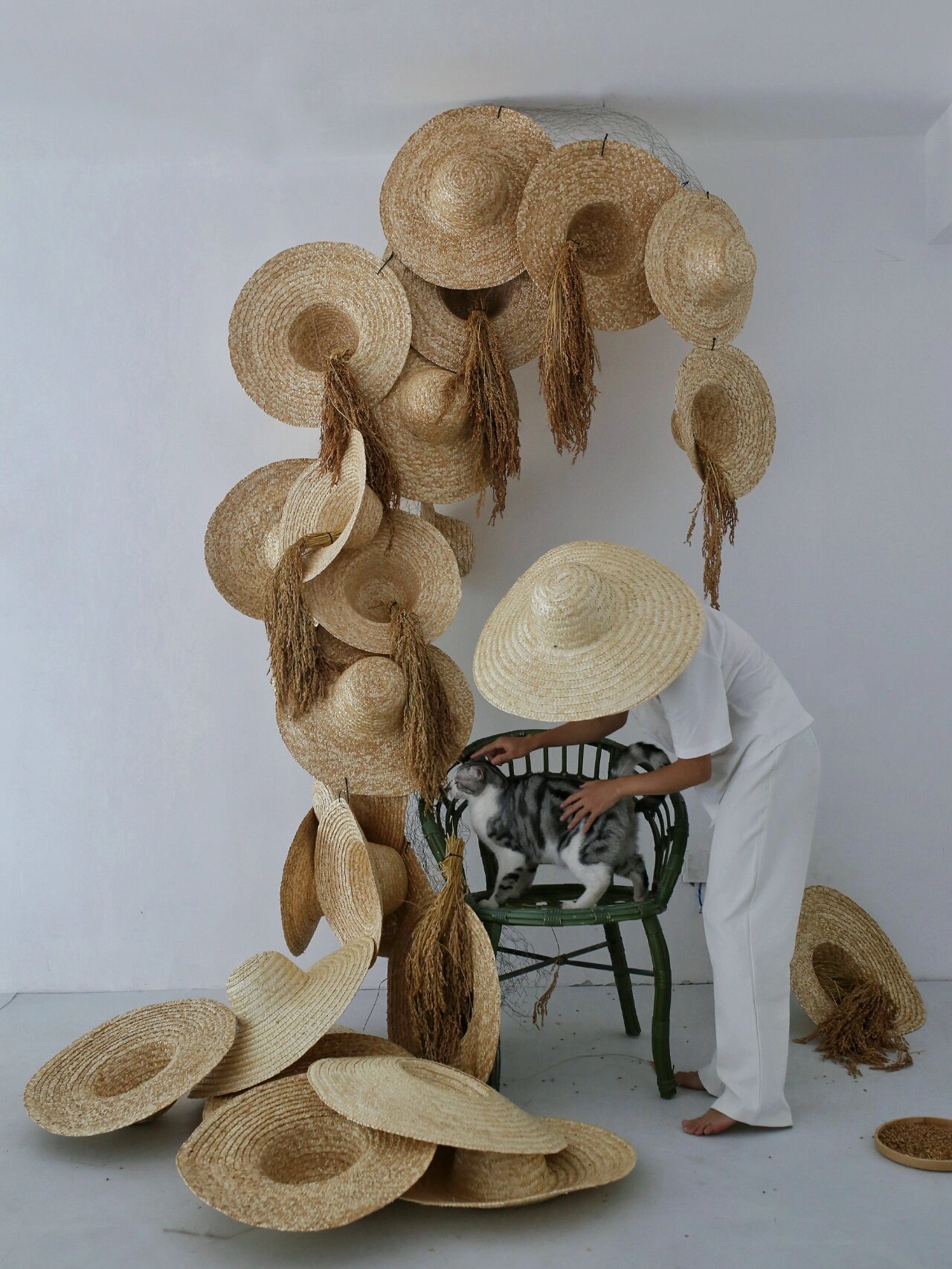 白露装置│草帽稻谷编织袁老「禾下乘凉」梦