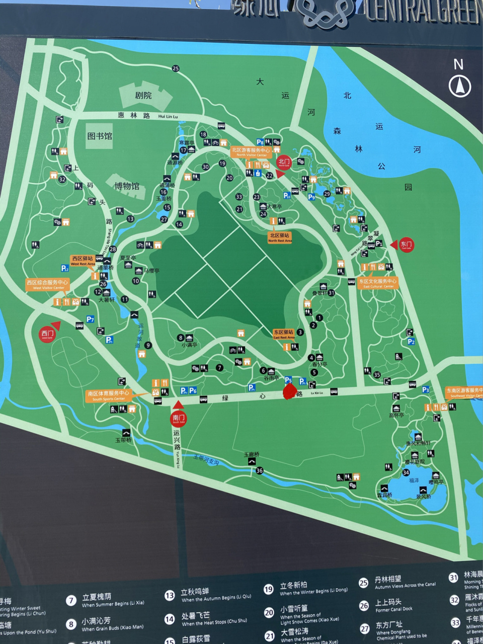 城市绿心森林公园9315593156打卡攻略 99据说这是一个去不