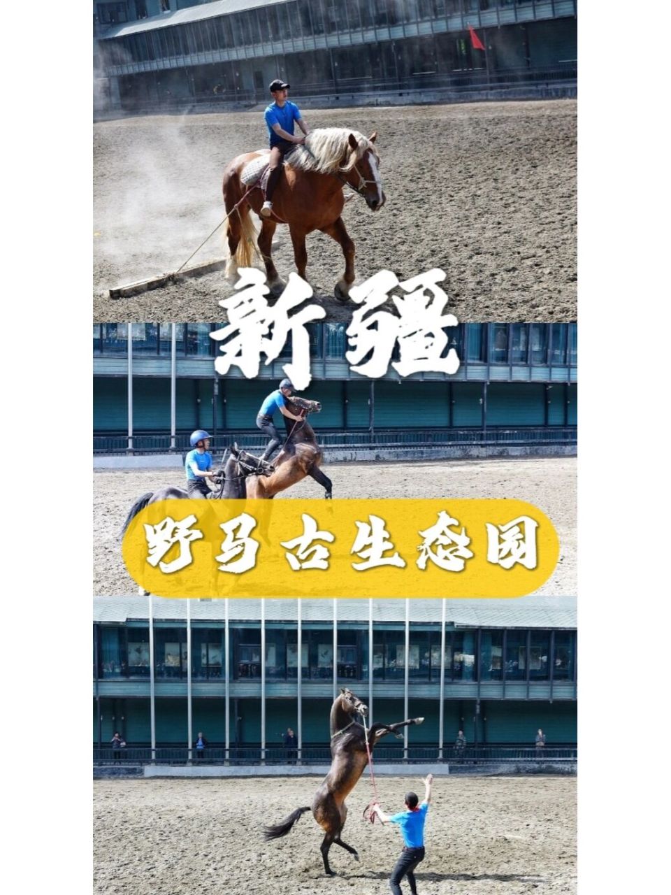 新疆|野马古生态园 96新疆古生态园占地近300亩,汇聚了新疆珍稀的