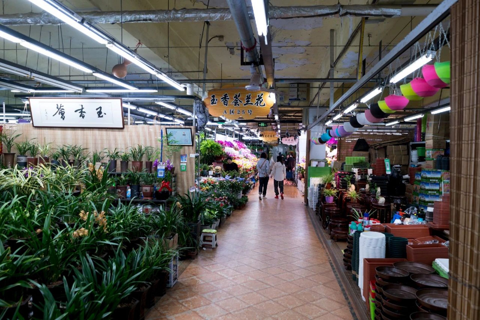 我个人觉得,青怡坊曾经是长春最好的花鸟鱼虫市场,远远超过其他几家