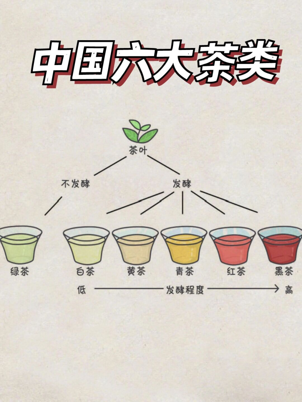 61566大茶类的科普8715以及如何挑选合适的 78中国茶叶历史
