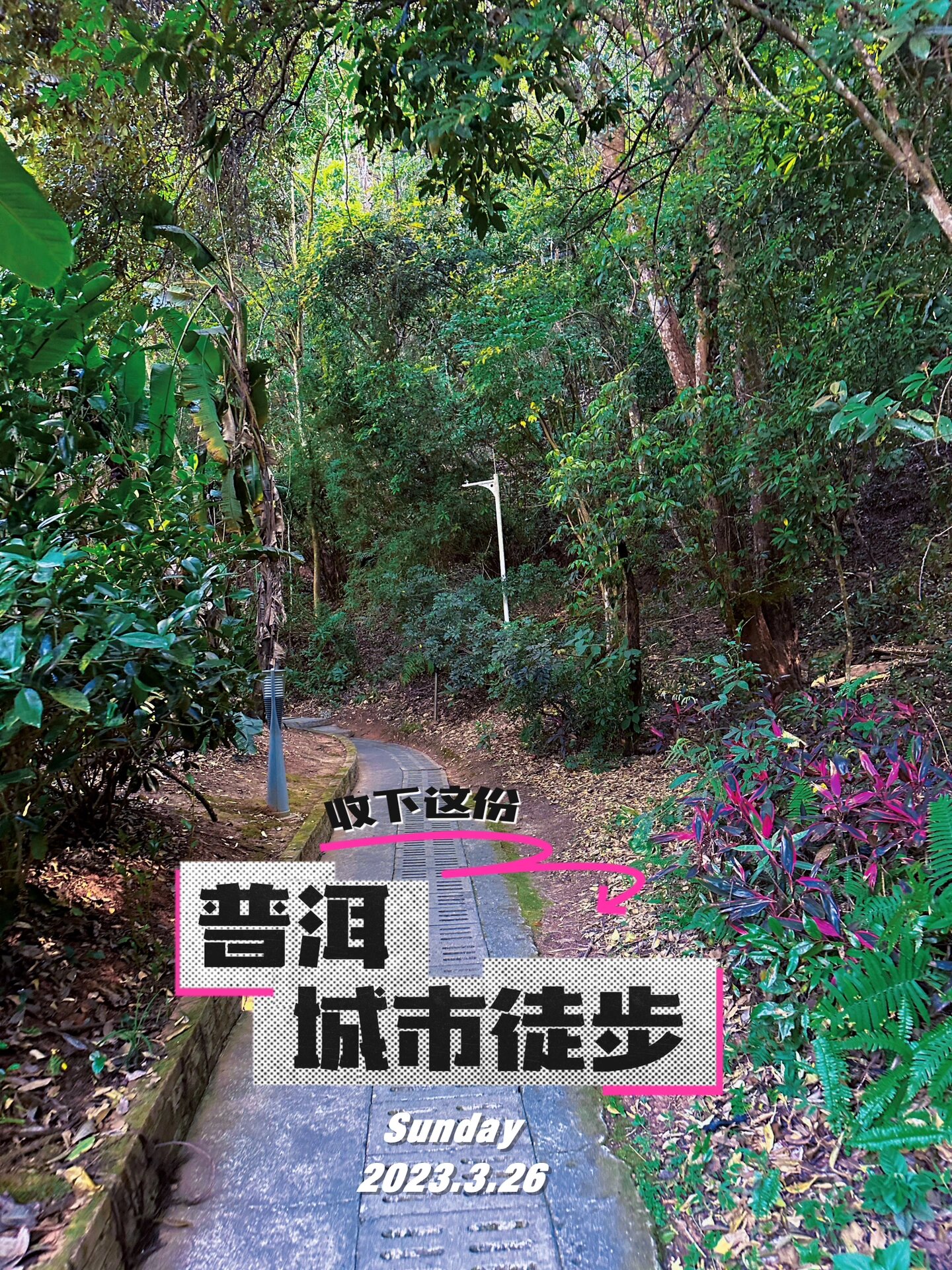 每周一山|城市轻徒步,普洱梅子湖栈道速走