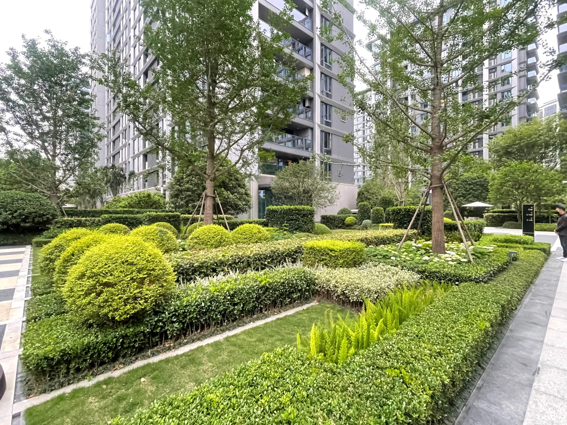 植物搭配—规则式种植|绿篱带