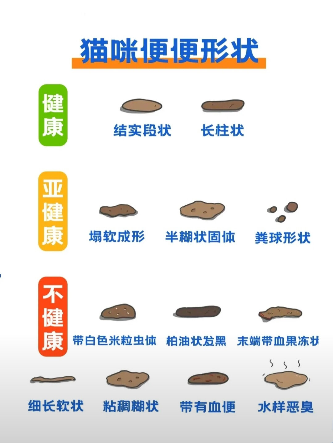 猫咪便便💩形状一览👇