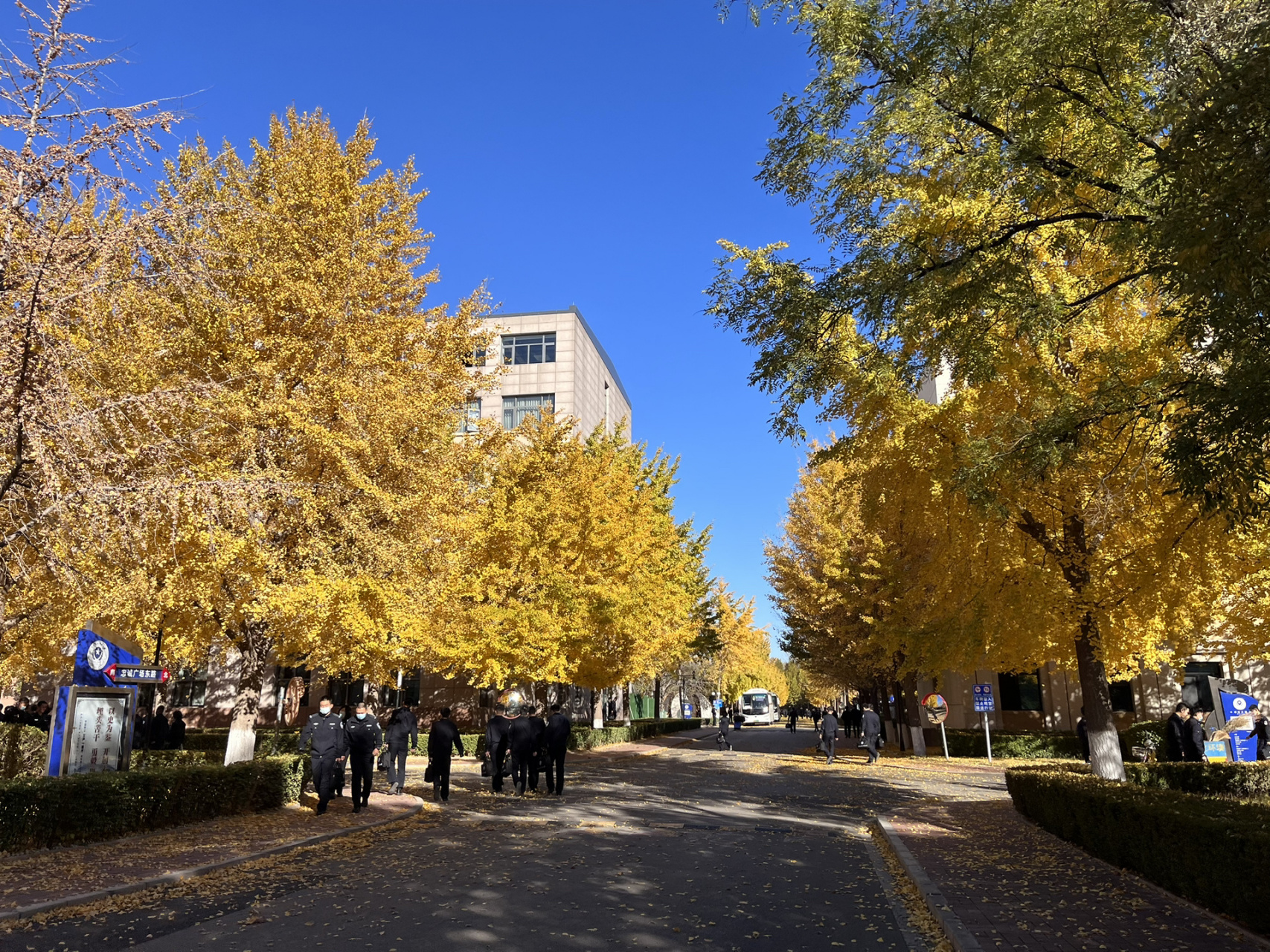 中国公安大学校园风光图片