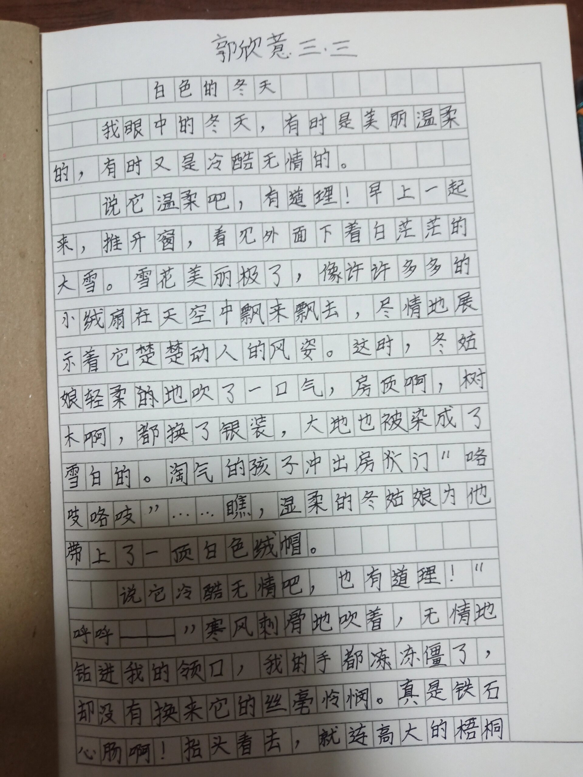 《白色的冬天》300字作文