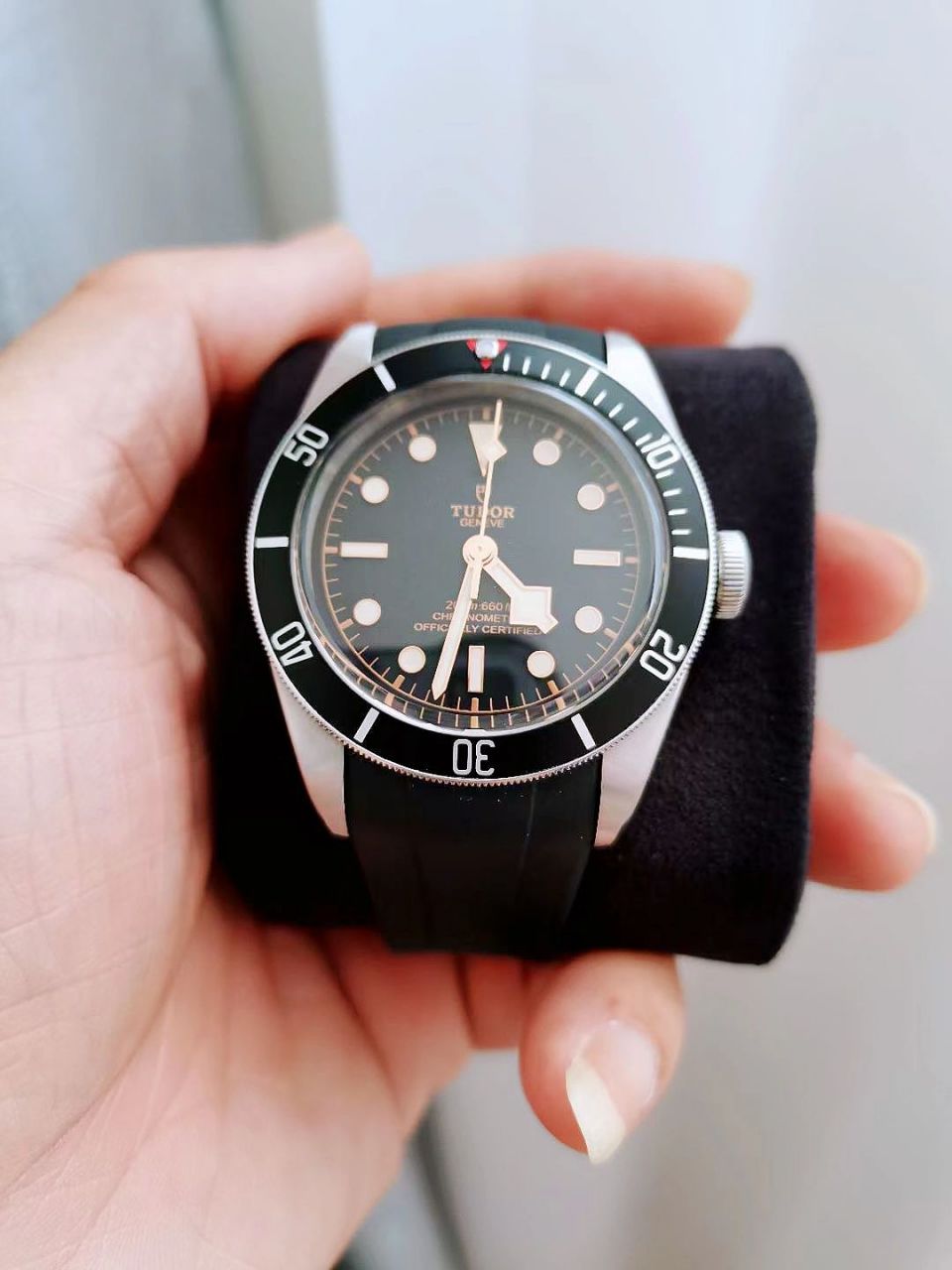 帝舵和浪琴本不应该放在一起讨论,但是帝舵全新在二级市场的行情脖热