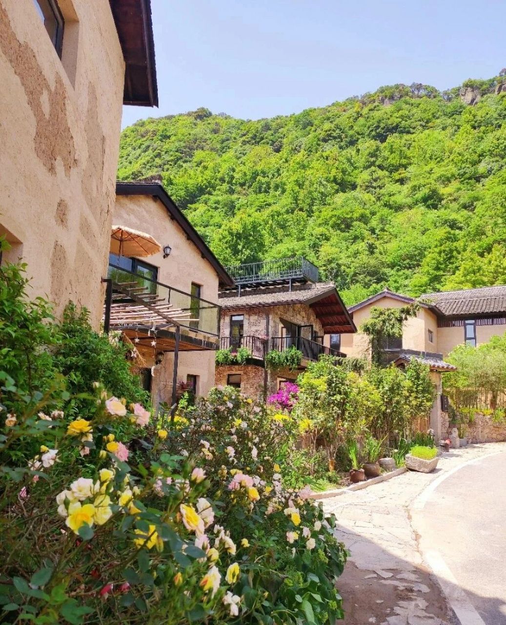 应该没人反对吧 义乌栖隐大安半山民宿92地处义乌第一高峰大寒山(又