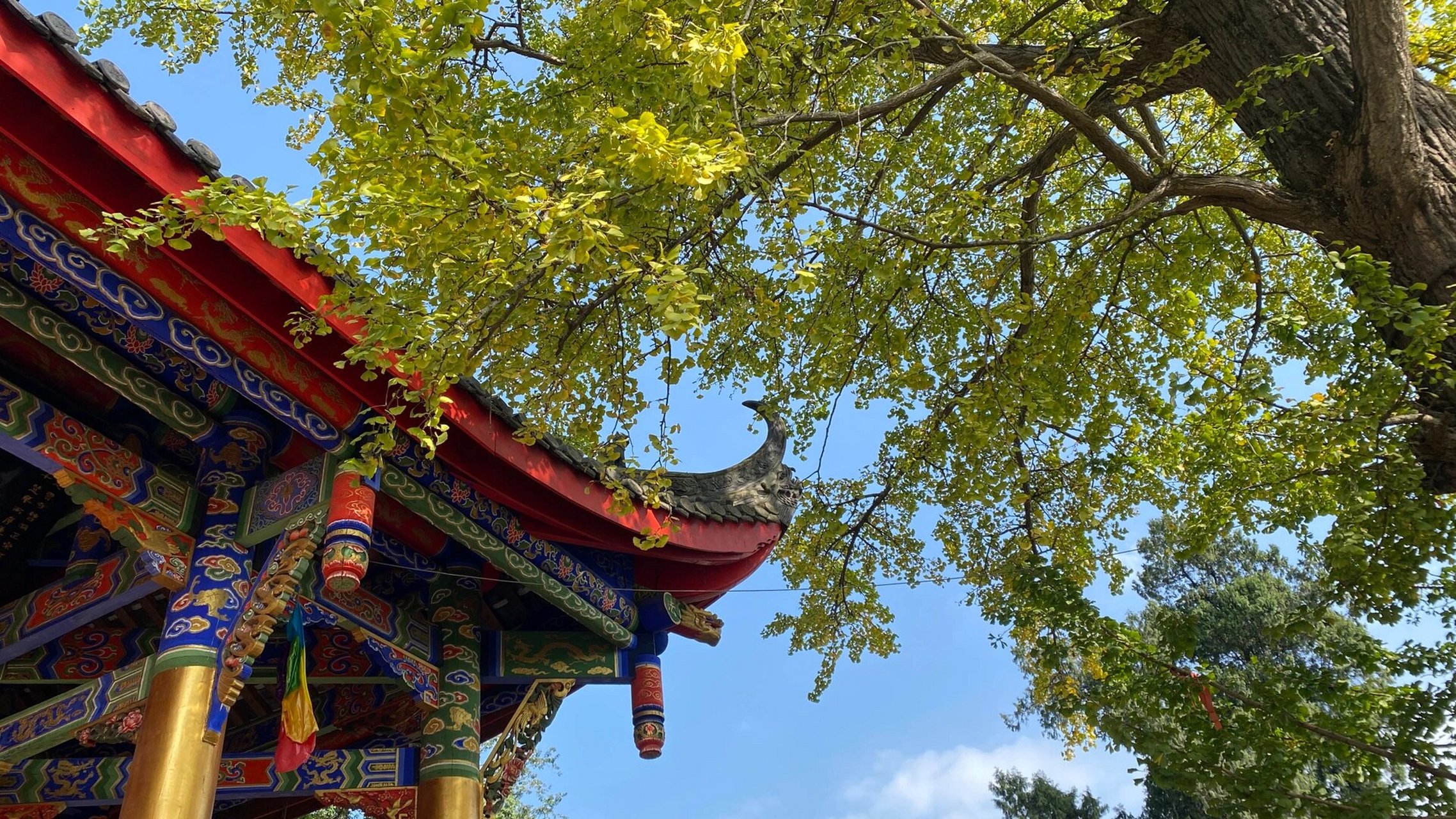 慈云寺-金堂云顶山 金堂云顶山|唐代十大古寺|小众周末游佳地 古柏