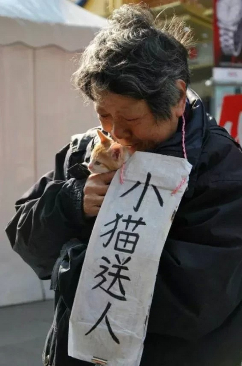 脖子上挂牌子图片大全图片