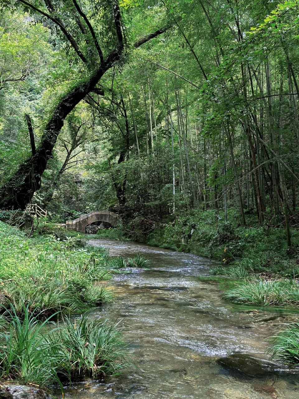 黟县打鼓岭景区图片