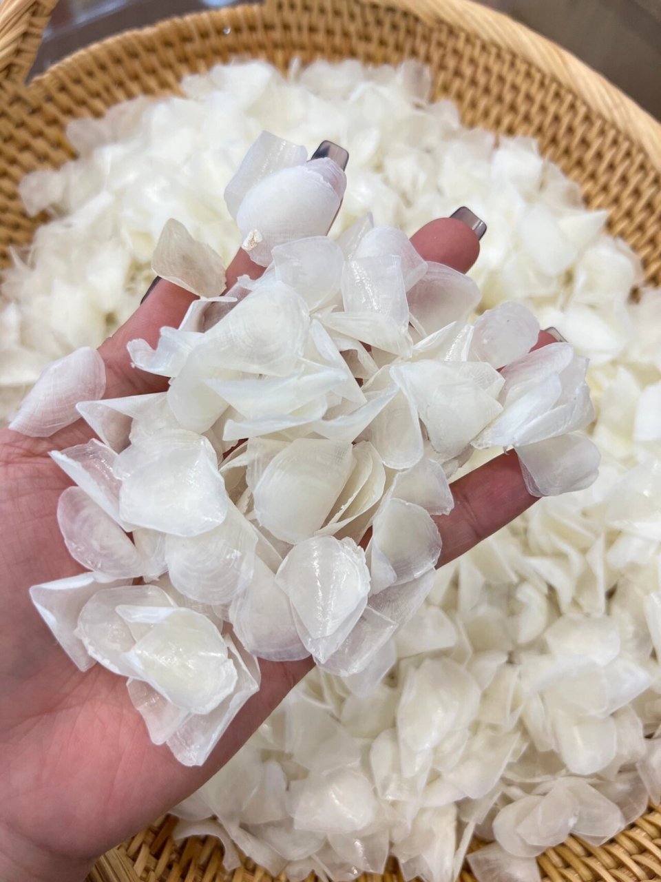 那你就大错特错了,此鱼鳞非普通鱼鳞,它是金钱鳘的鱼鳞,金钱鳘何其