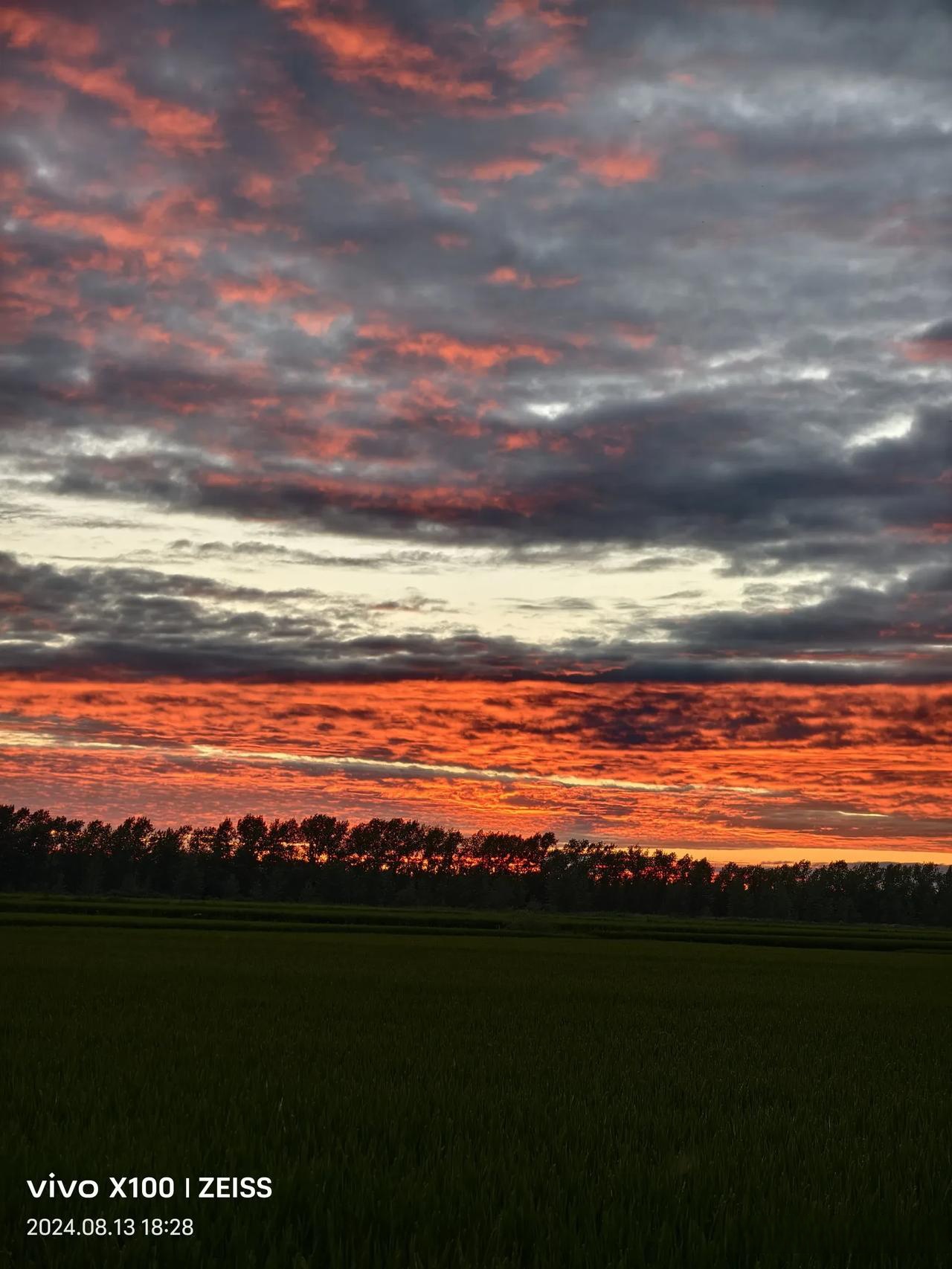 在火烧云的照耀下,一切都被染成了美丽的火红色,仿佛整个天空都在燃烧