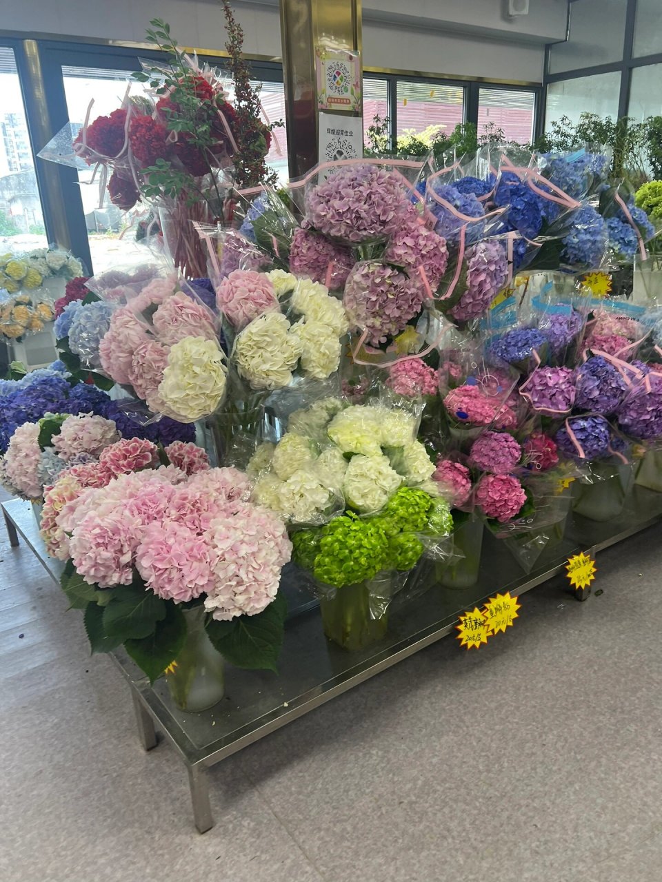 广州花卉批发市场 有绿植有鲜花 花盆 等 应有尽有 价格要自行对比