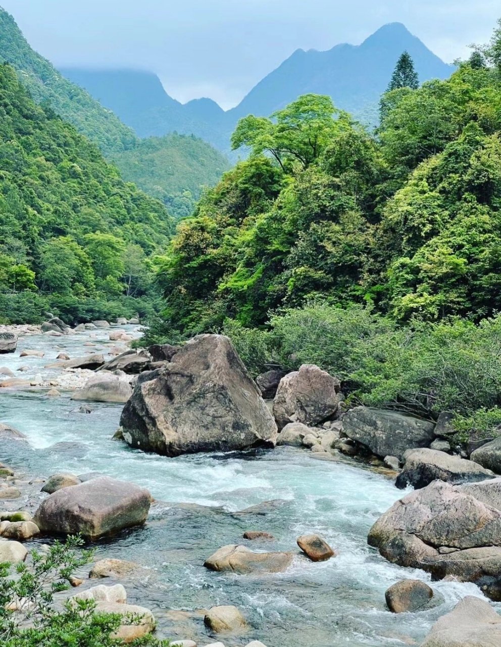 "桐木关"│"桐木村" 97 桐木关―位于福建省武夷山市,平均海拔1100