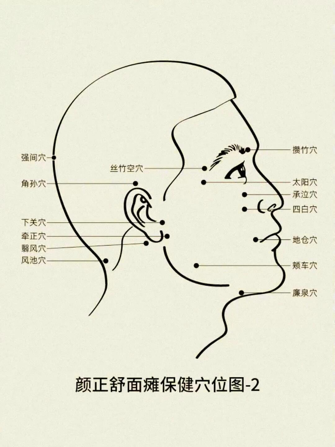 面部学位图解大全图片图片