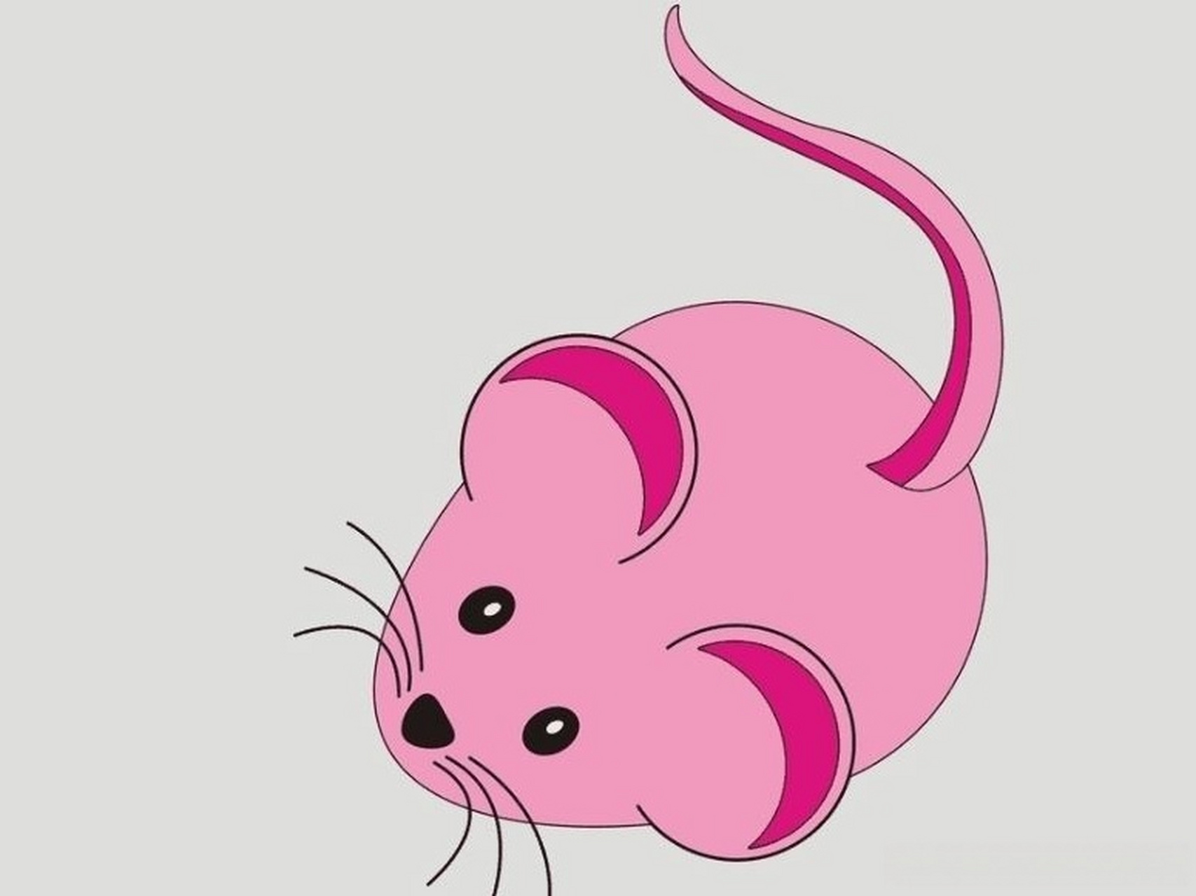 开 ——多子多福的生肖崇拜          十二生肖又称十二年兽,子鼠当头