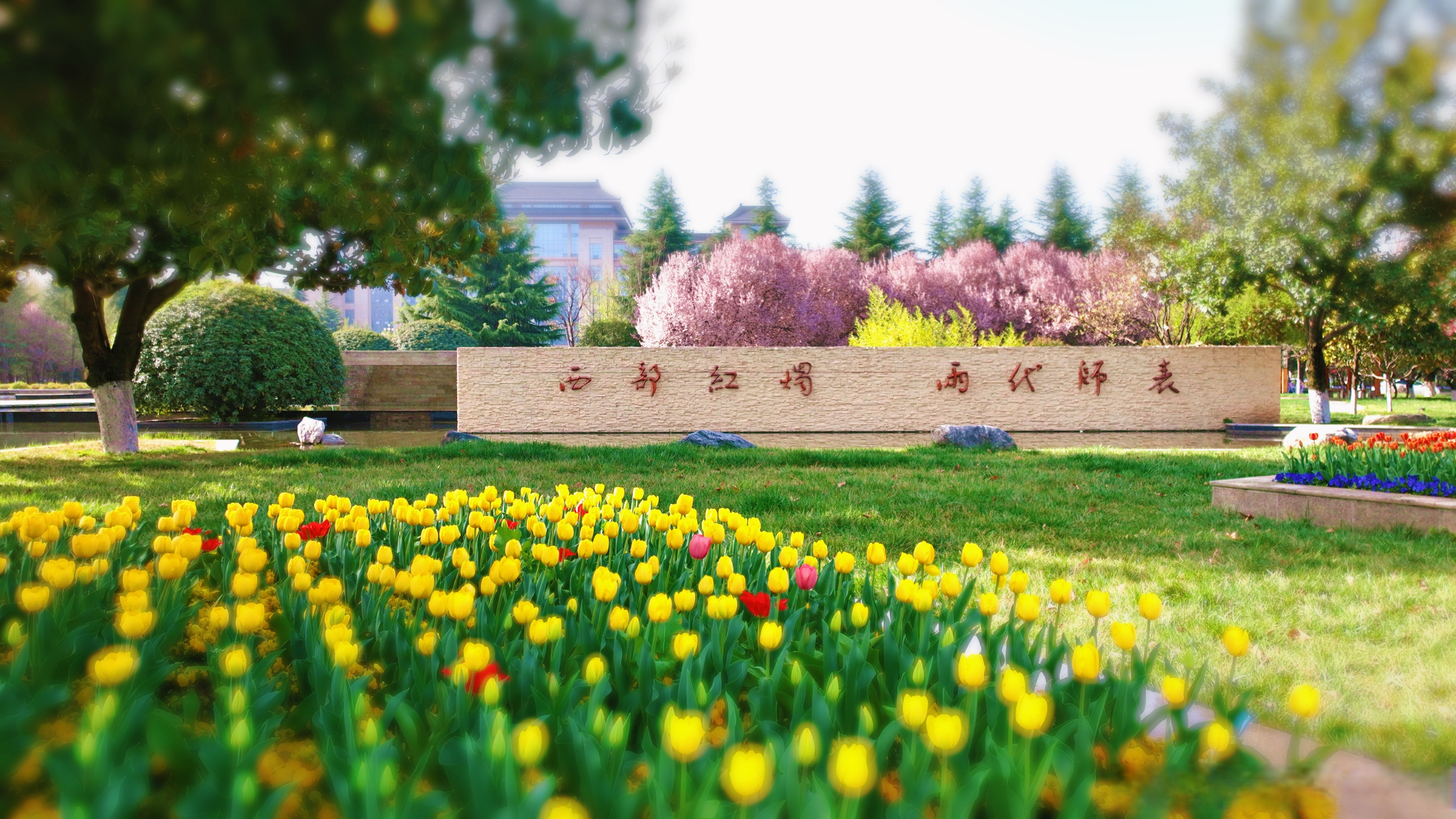 孜孜不倦传师道 杏坛弘道 踔厉奋发 灼灼芳华续辉煌 华东理工大学 祝