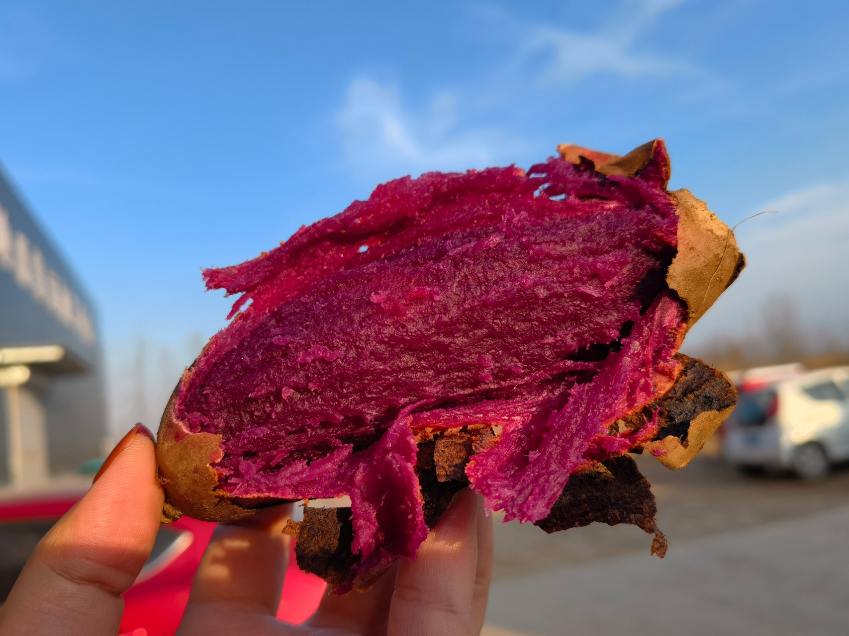 溏心紫薯94 【溏心紫芋94】 征服宇宙的美味97