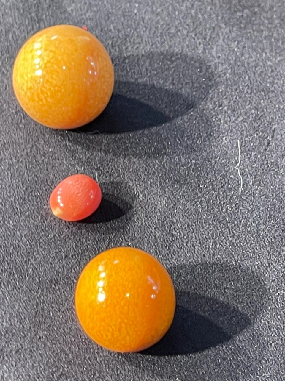 海螺珠分很多品种,其中最知名的有美乐珠和孔克珠,美乐珠被称为珍珠界