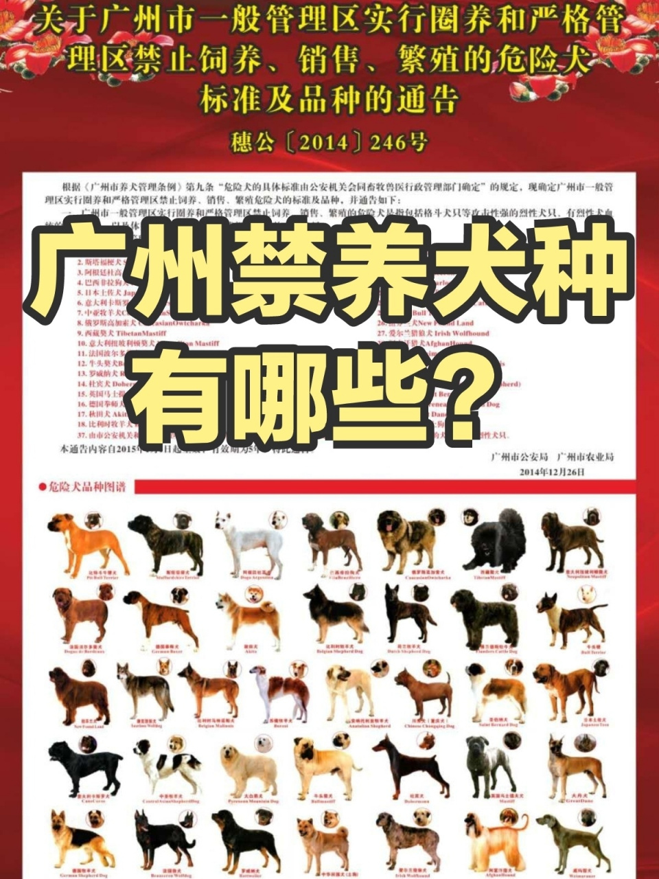 快来看你家狗上榜没 98广州养犬新规在五一假期开始执行了!