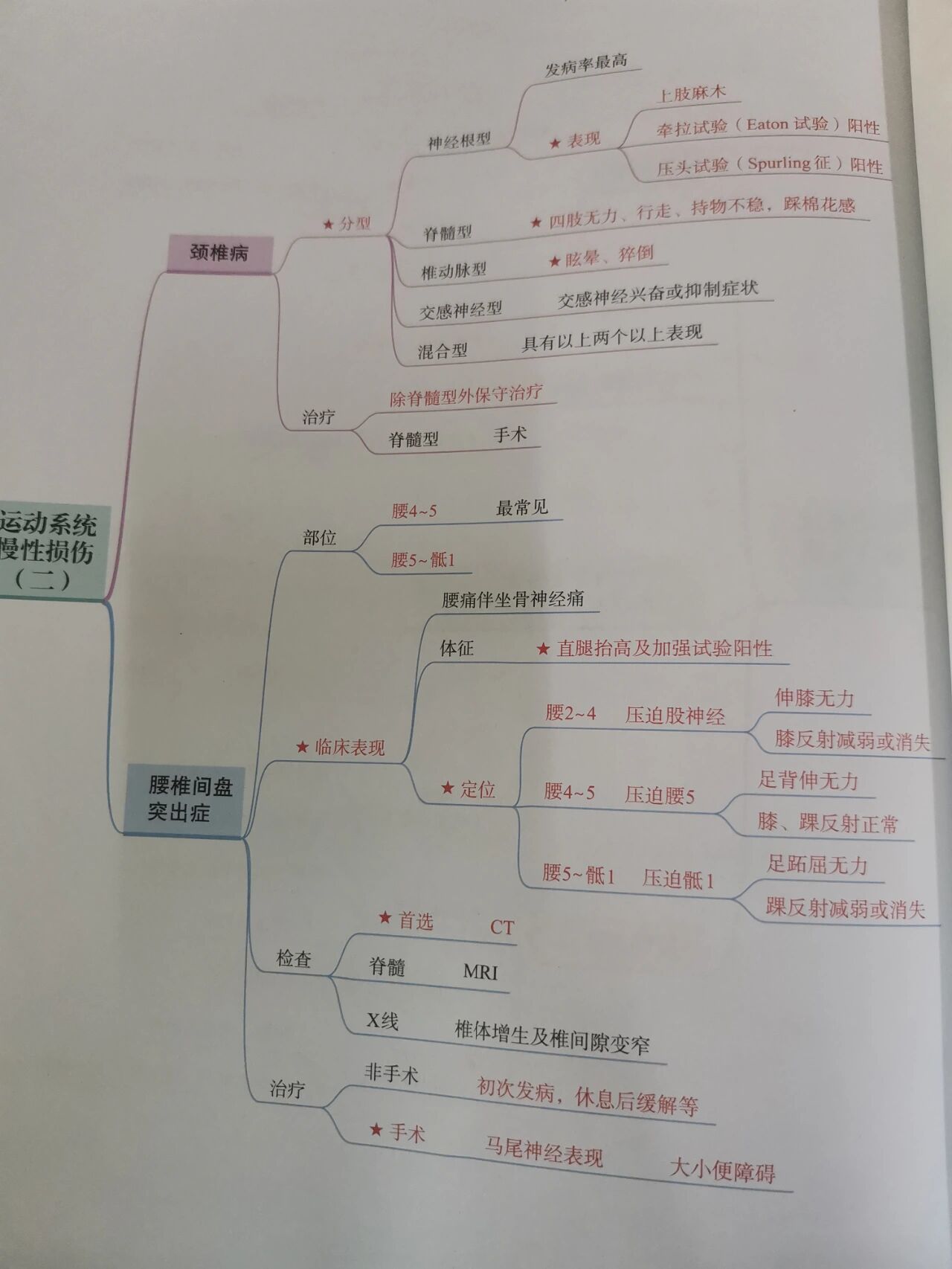 思维导图之运动系统