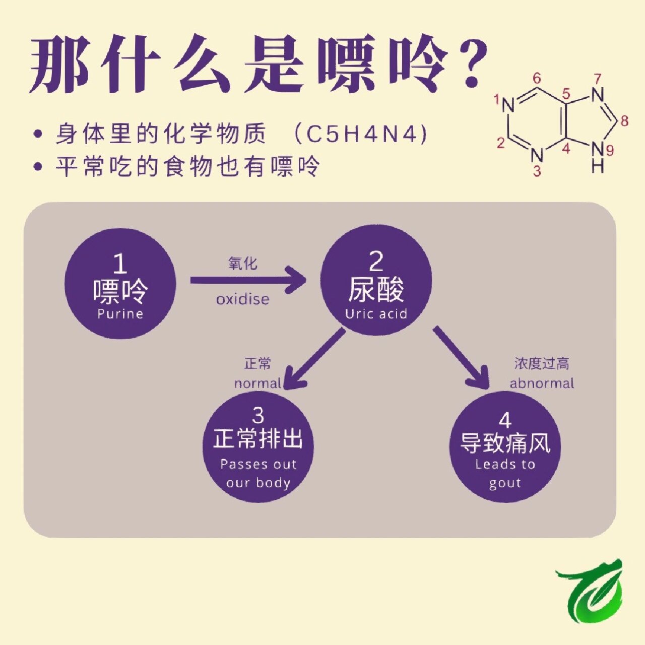 嘌呤读音图片